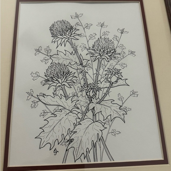 Vintage Framed Botanical Ink Pen Illustration Milk Thistle & Leaves MCM Unique - Picture 4 of 10
